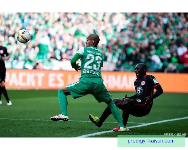 法马防守体系助力球队夺冠新篇章，防线稳定性值得关注