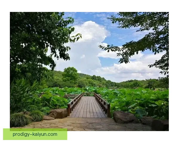 孔德职业轨迹引人关注，近期表现持续稳定，备受俱乐部青睐。