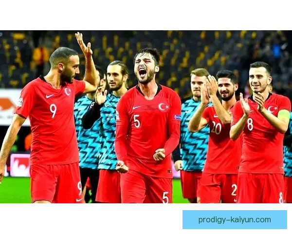 塞尔维亚球迷热情高涨，为球队带来主场优势，展现强大支持力度